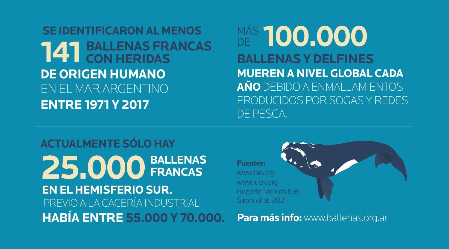 Infografía sobre la problemática de las ballenas
