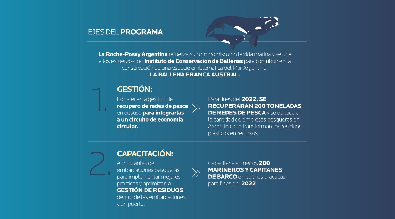 Infografía sobre la problemática de las ballenas: ejes del programa